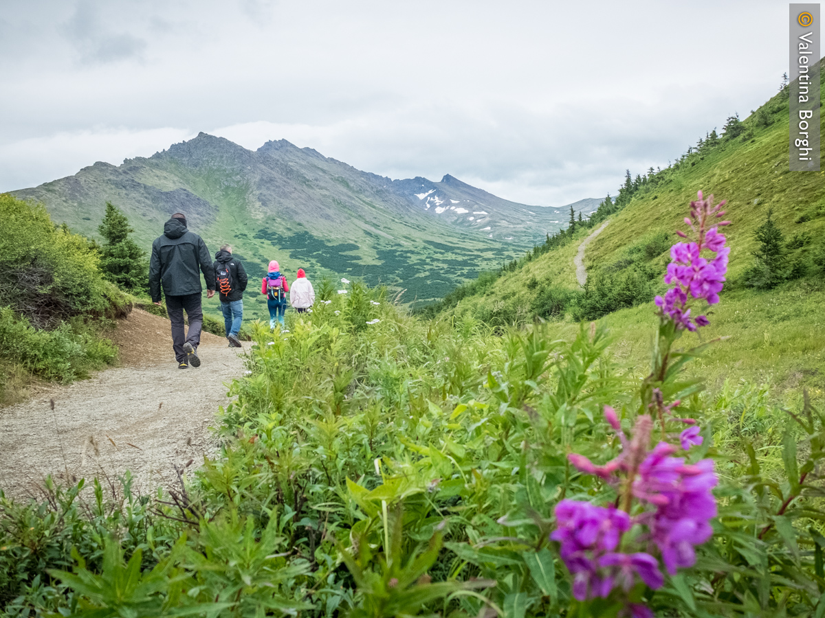 Flattop Mountain Trail, Alaska