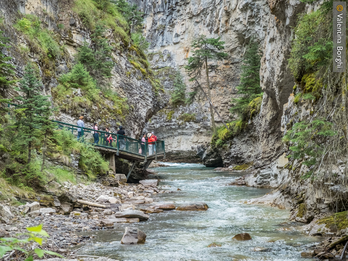 Johnston Canyon