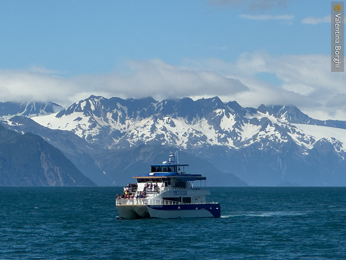 Kenai Fiords, Alaska