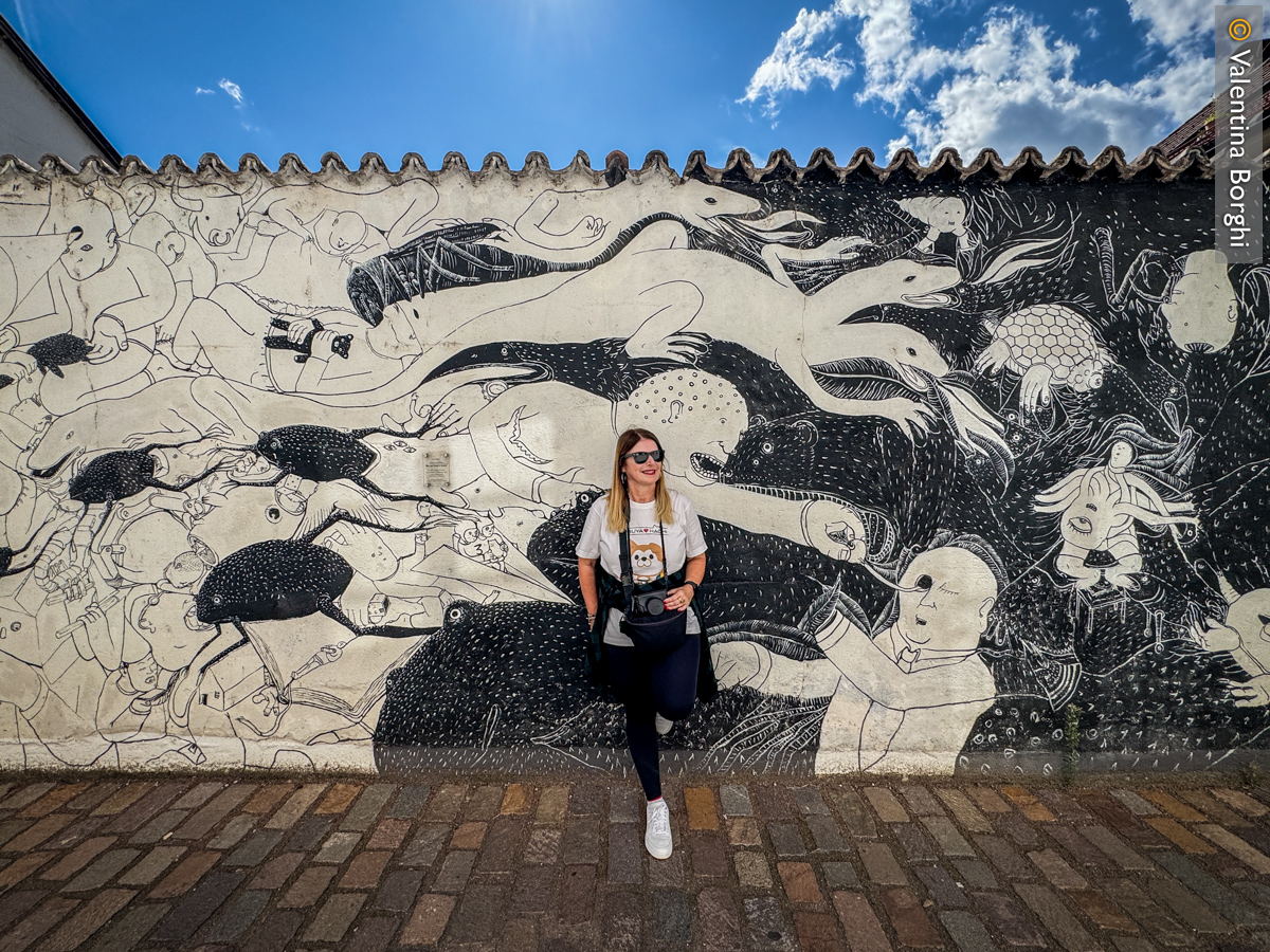 Murales di Blu a Merano