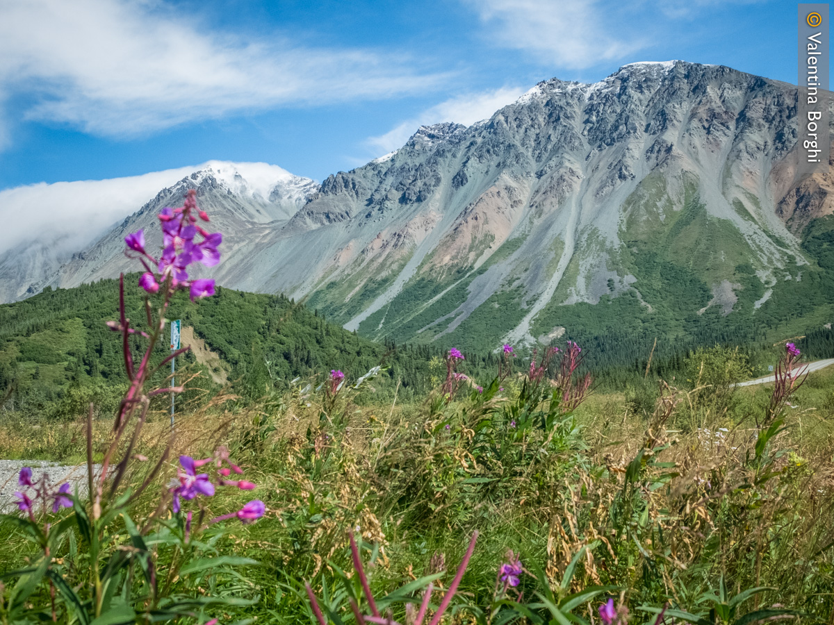 paesaggio lungo la Richardson Highway, Alaska