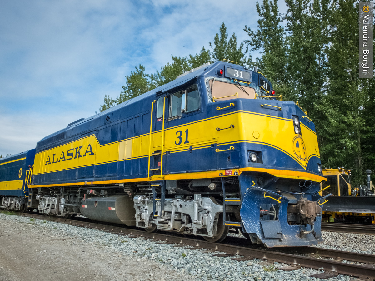 Treno della Alaska Railroad