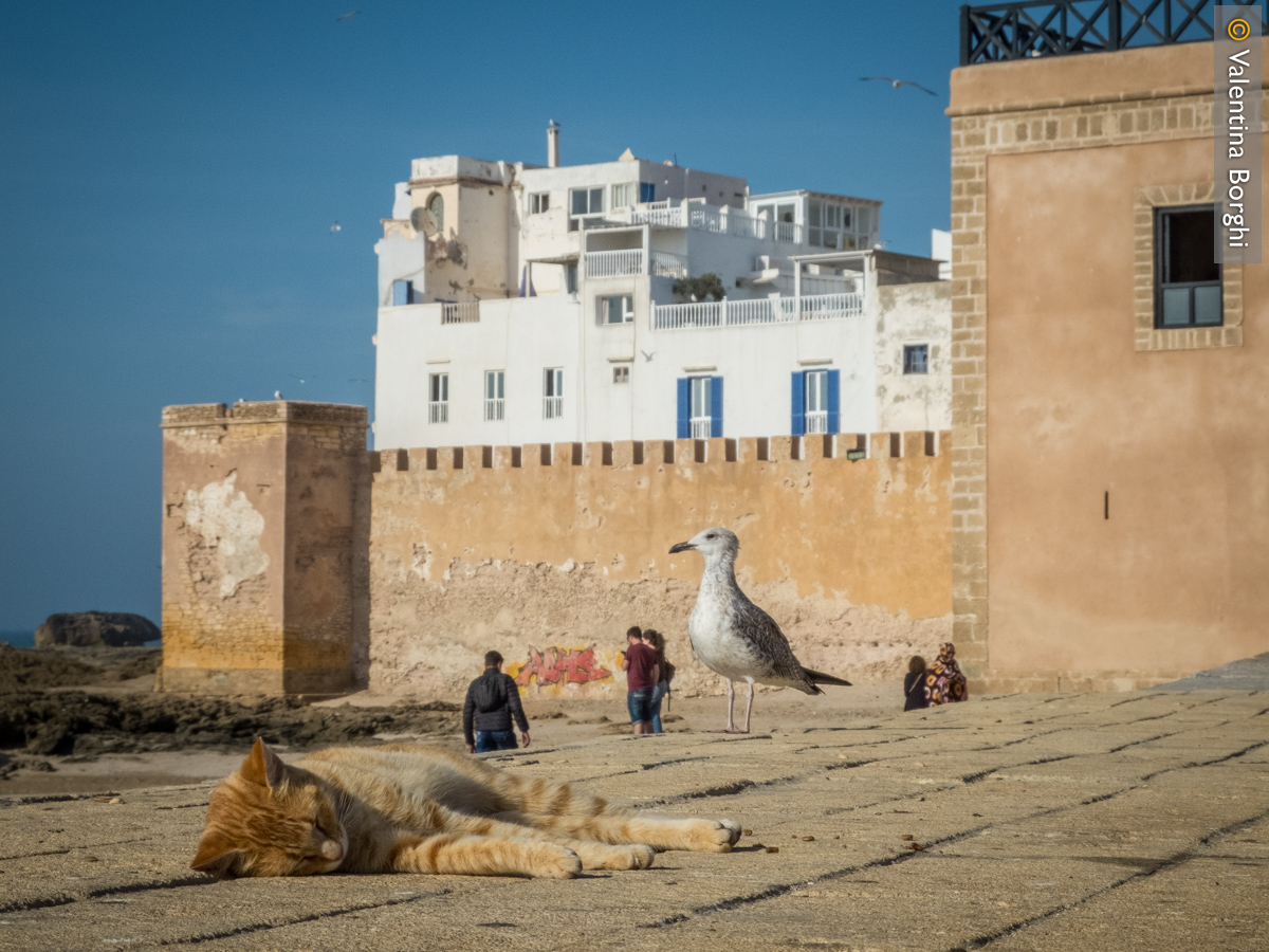 Essaouira