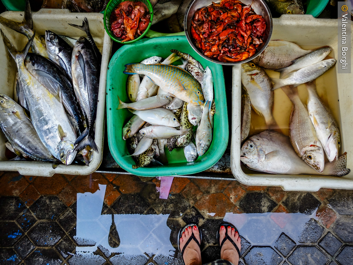mercato del pesce, Phi Phi