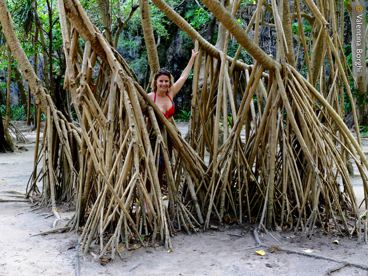 io tra le mangrovie in Thailandia