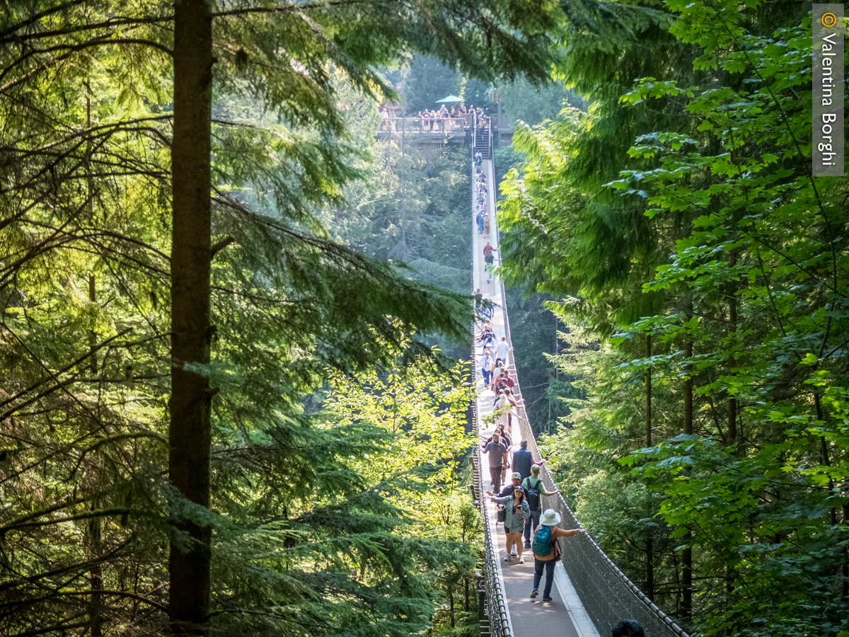 Capilano Bridge, Vancouver
