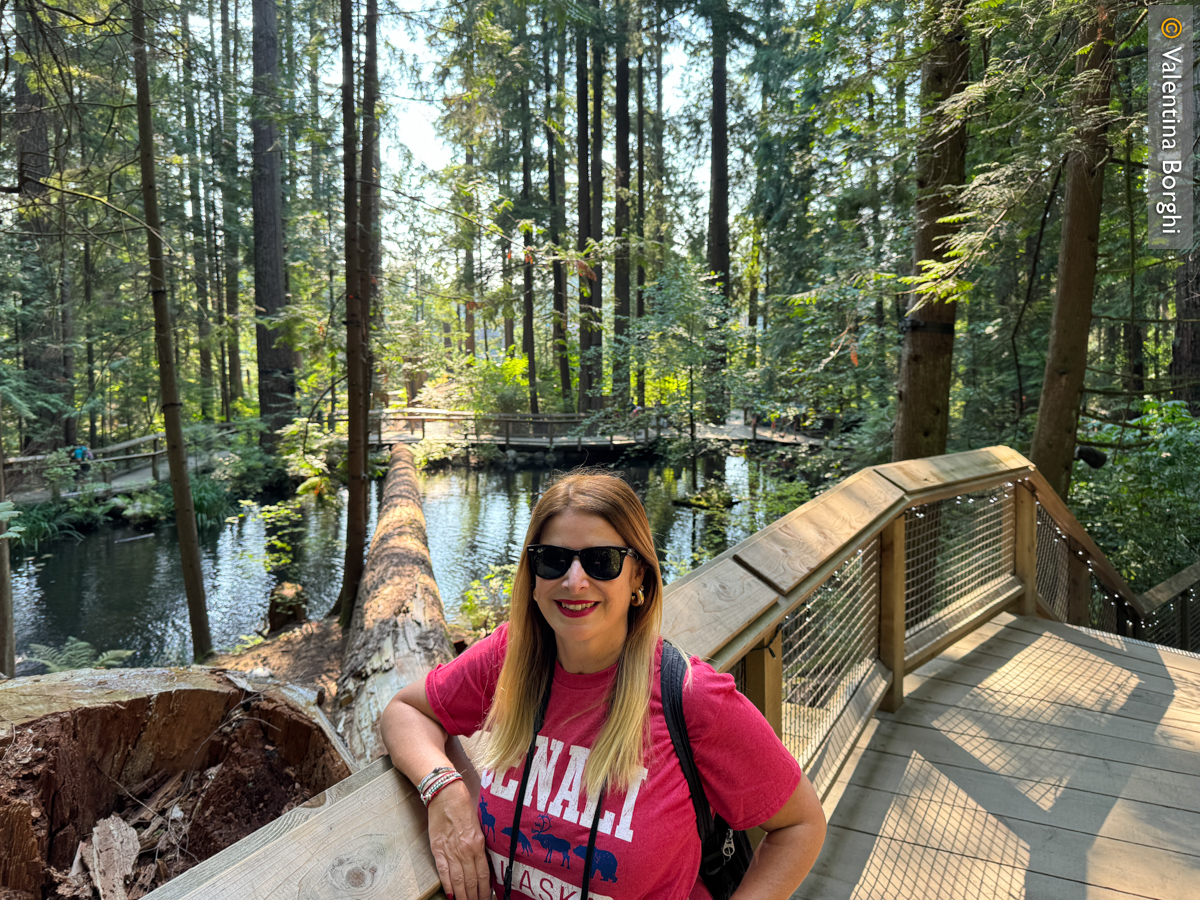 io a Capillano Bridge, Vancouver, Canada 
