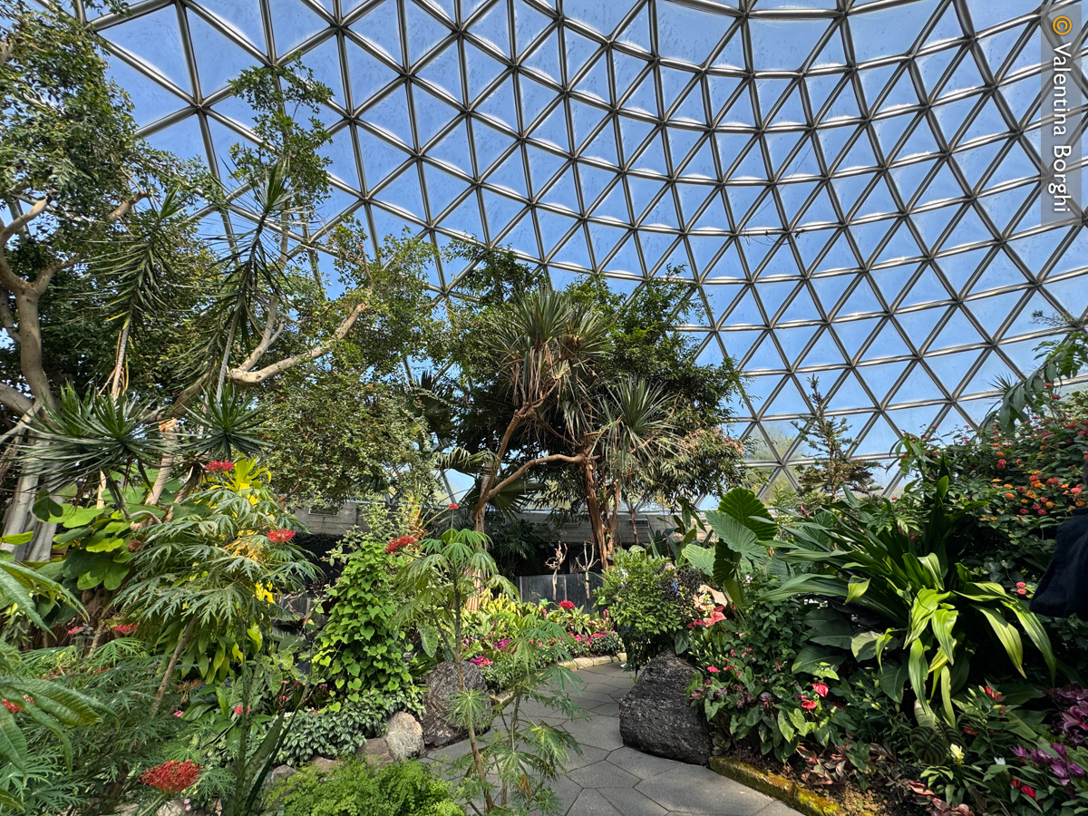 Bloedel Conservatory, Vancouver