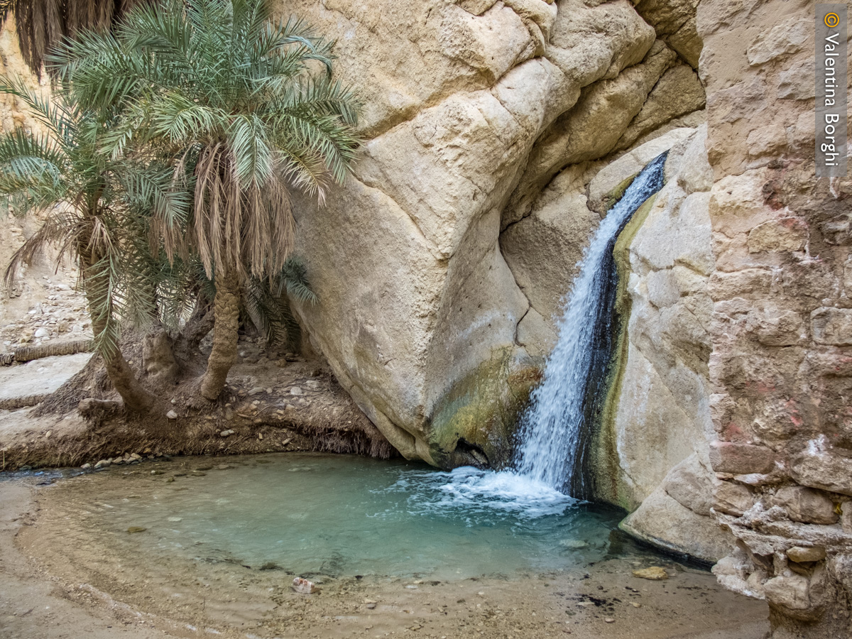 Oasi di Chebika, Tunisia