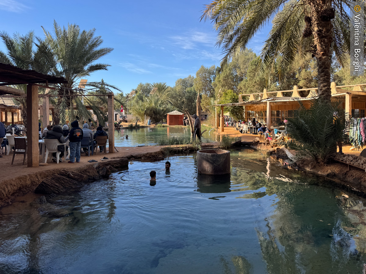 oasi di oasi di Ksar Ghilane, Tunisia