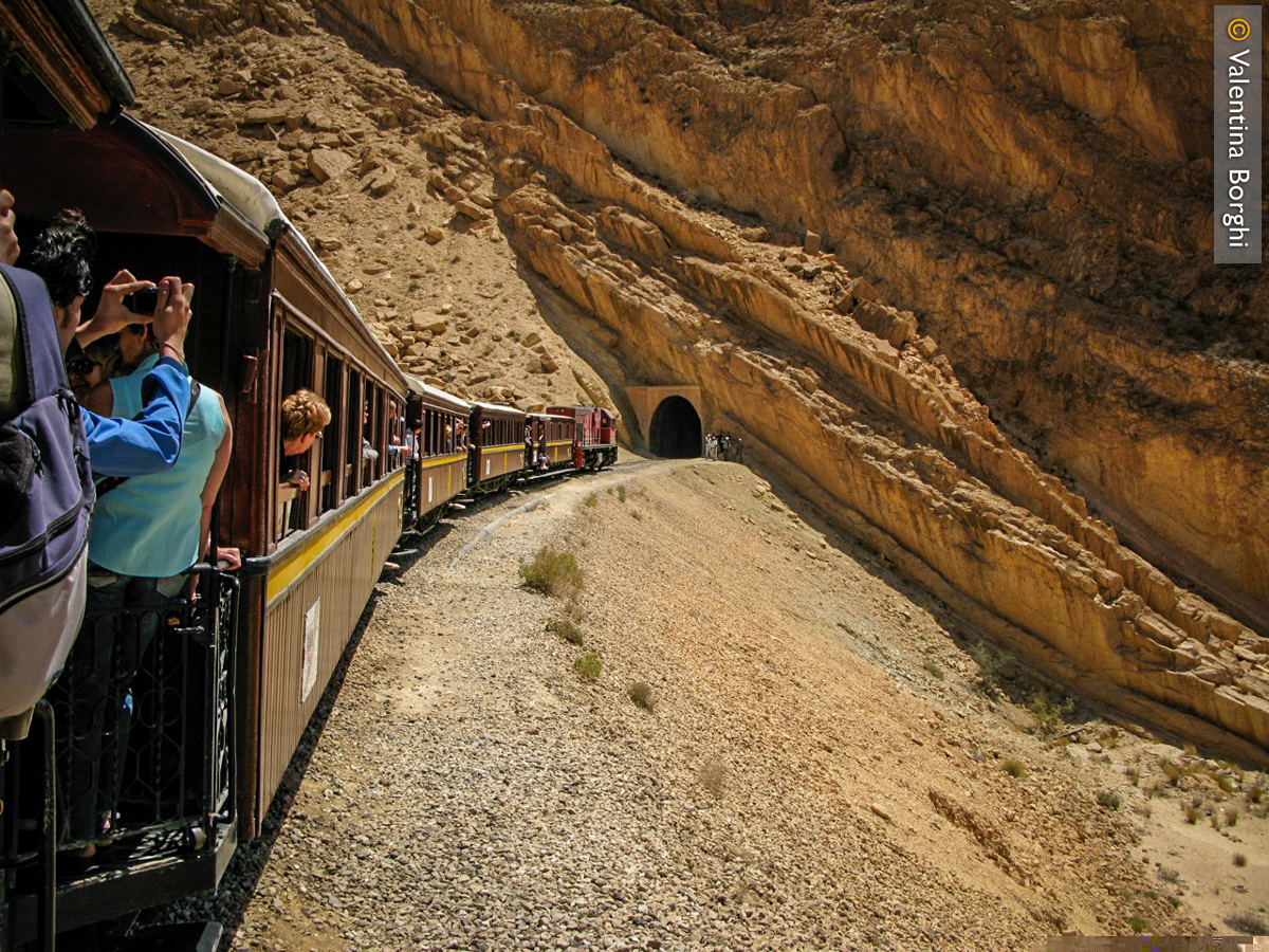 Lizard Rouge, Tunisia