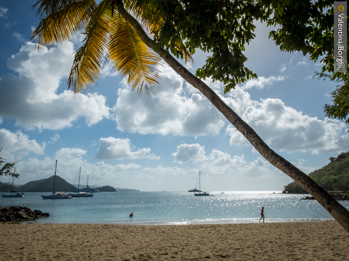 spiaggia di Pigeon Island, St Lucia