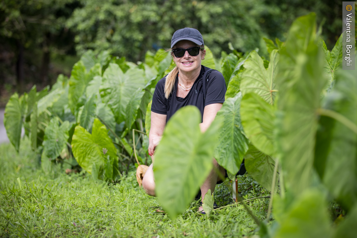 vegetazione a Santa Lucia