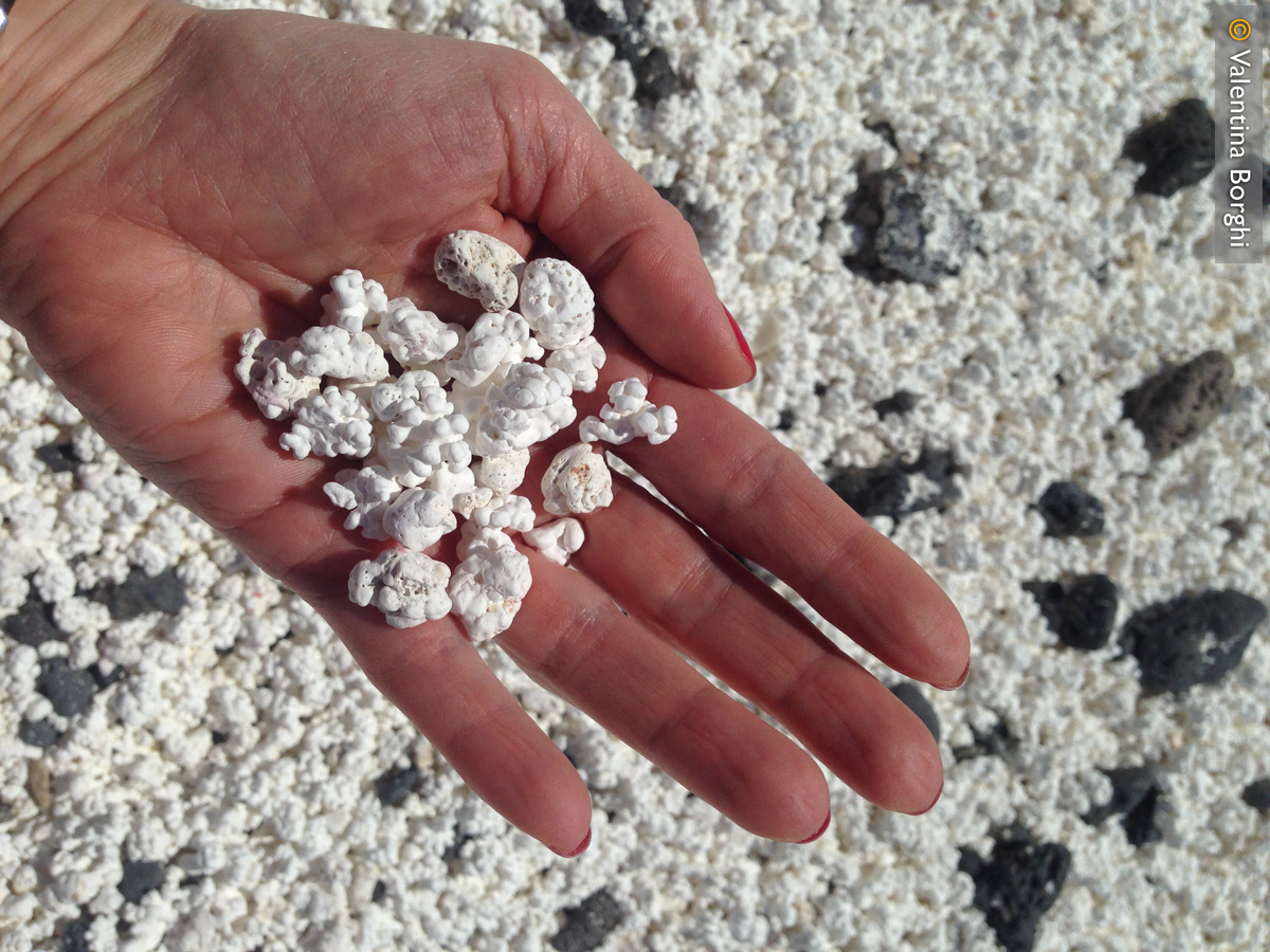 Pop Corn Beach, Fuerteventura