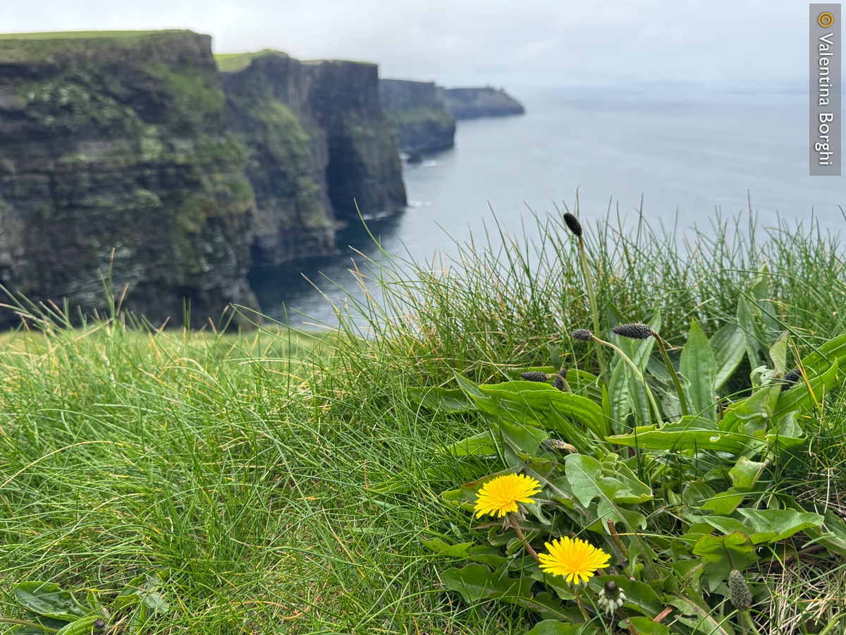 Cliff of Moher, Irlanda