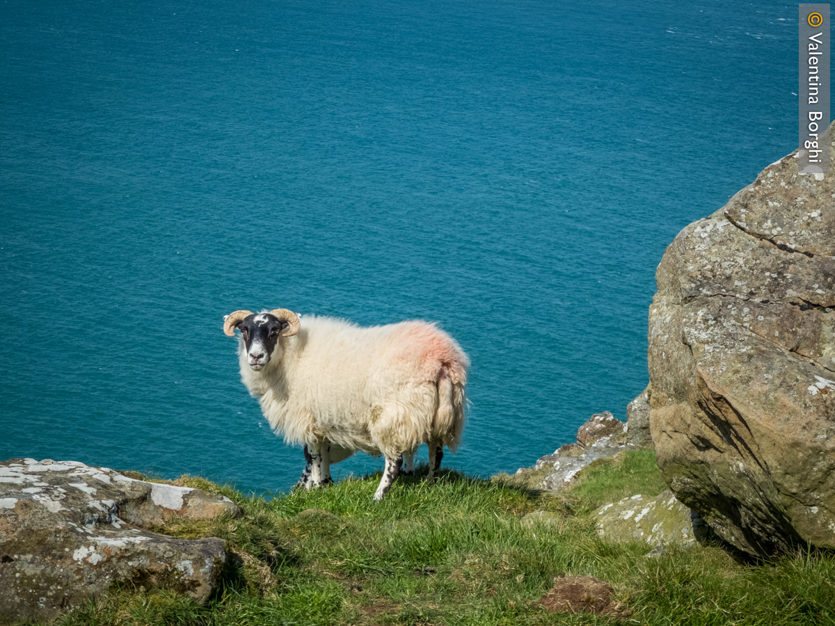 Fair Head, Irlanda del Nord