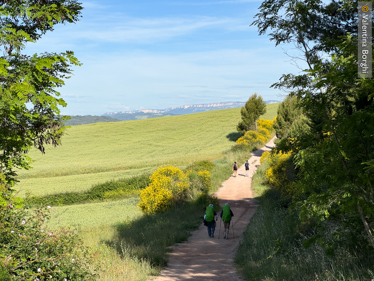 Cammino di Santiago