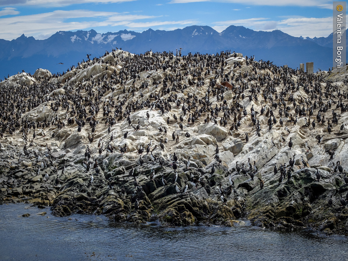 Faro Les Éclaireurs, Canale di Beagle, Argentina