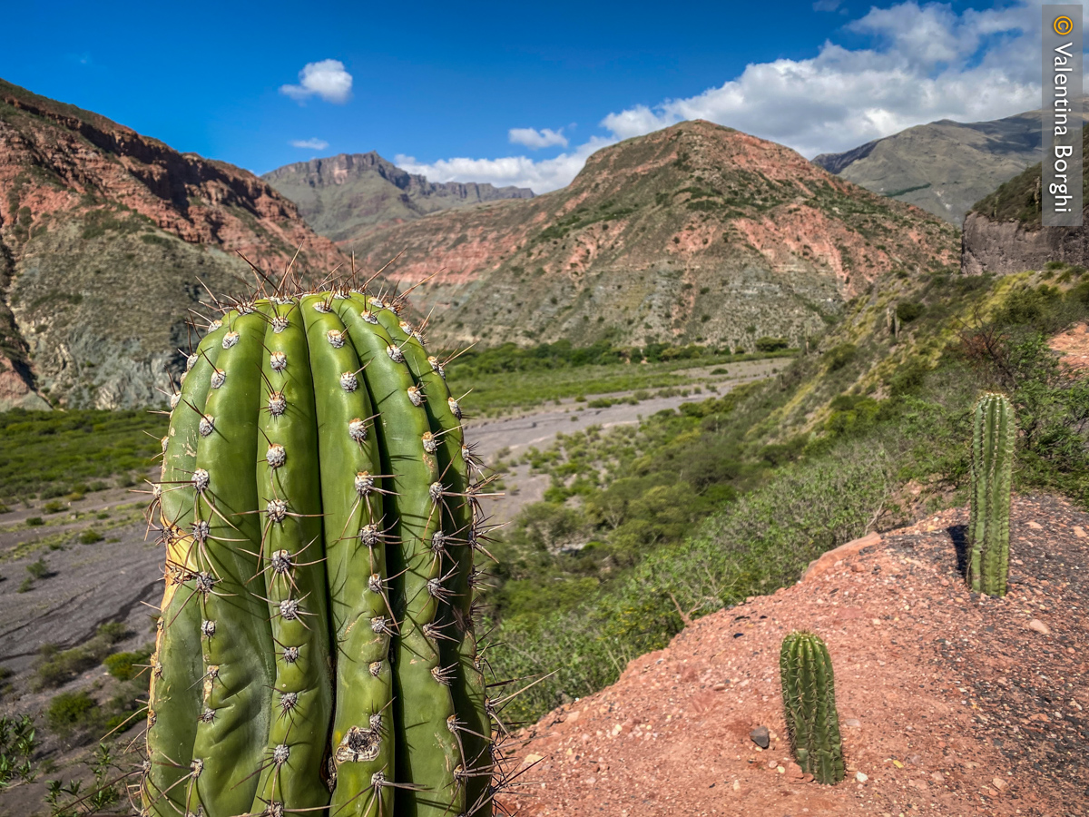 Jujuy, Salta, Argentina