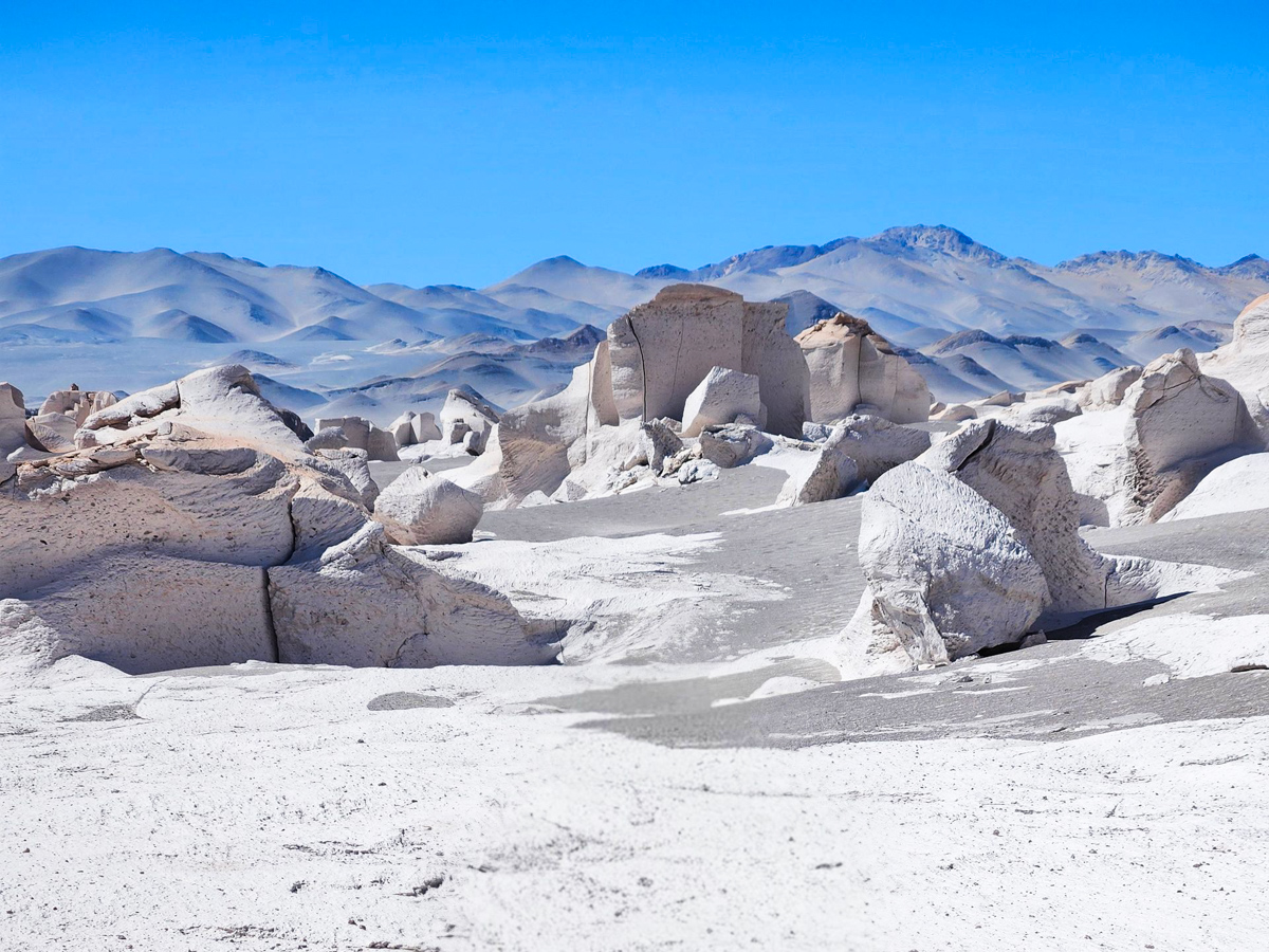 Área natural protegida Campo de Piedra Pómez, Puna Argentina