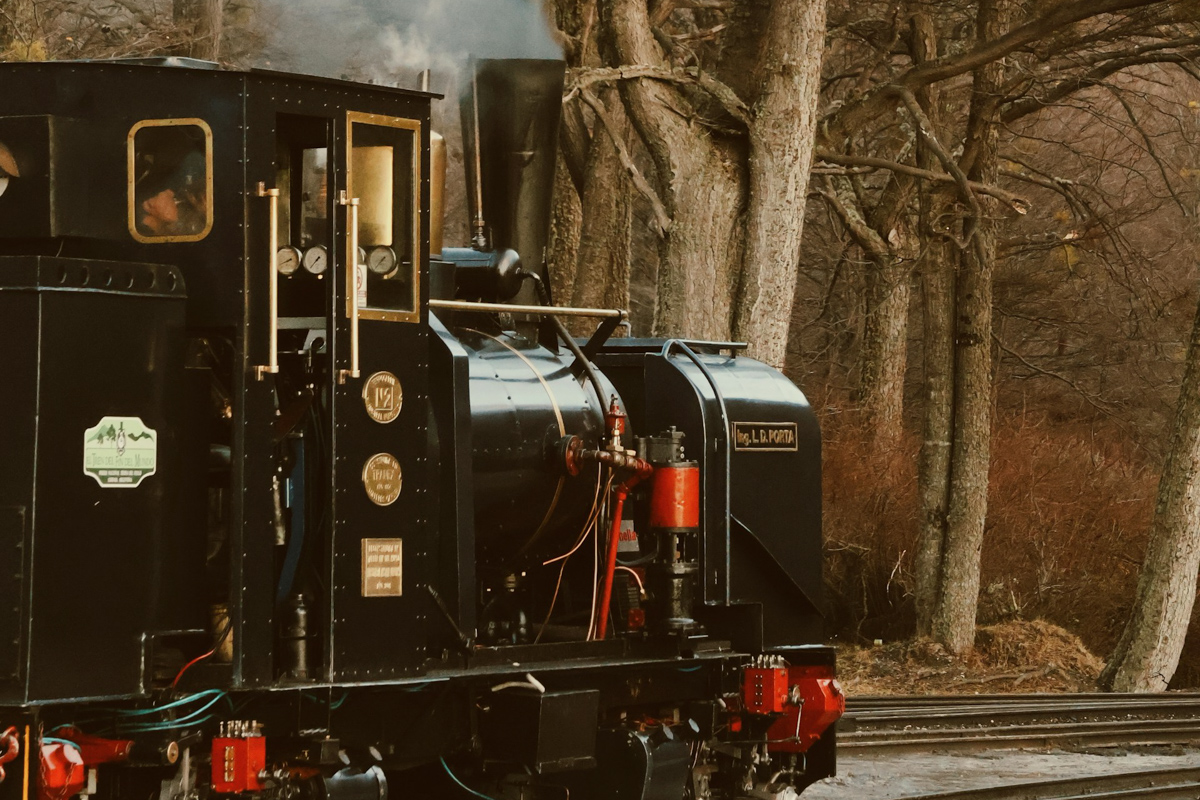 Tren del Fin del Mundo, Ushuaia