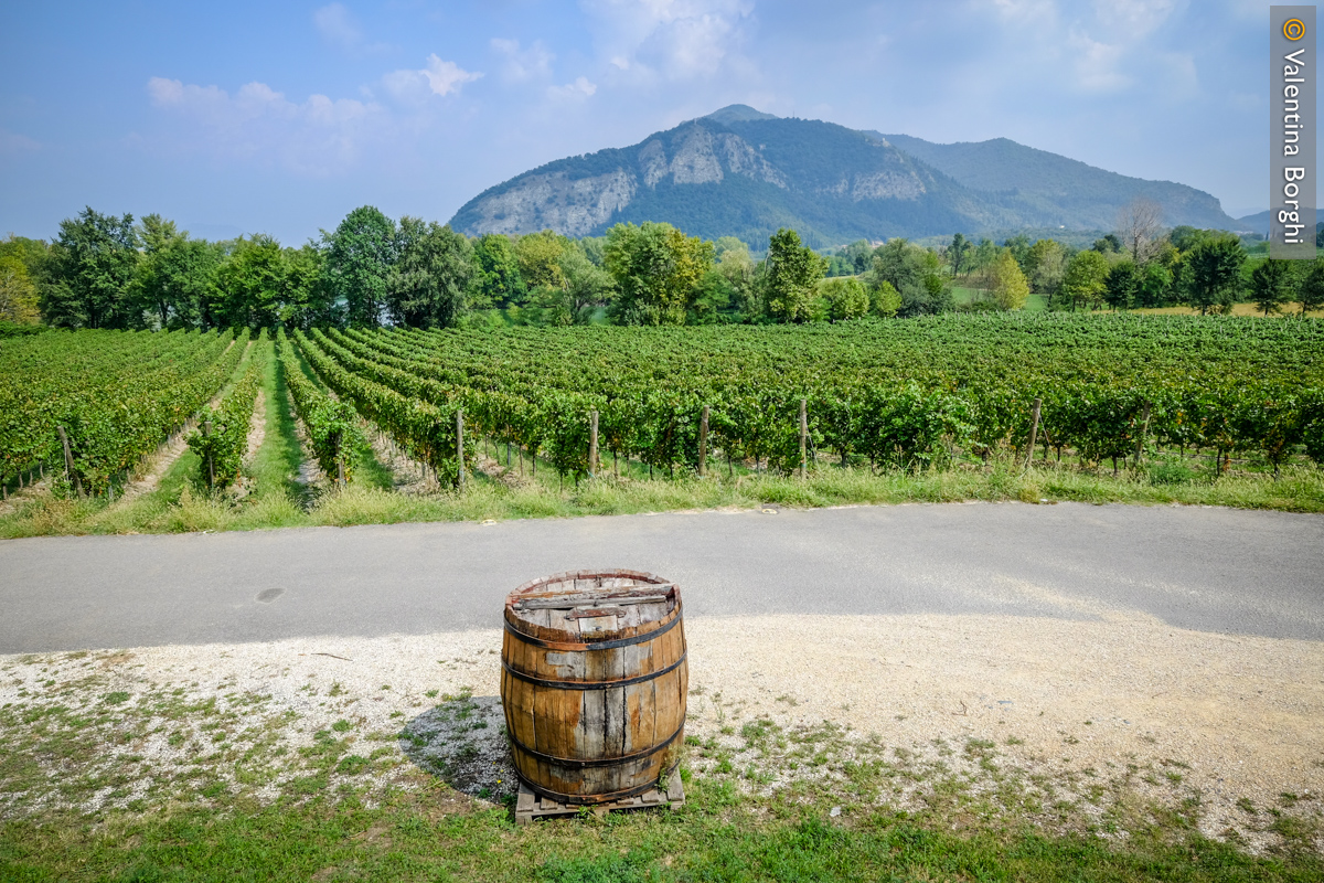 Cantina Bersi Serlini, Franciacorta