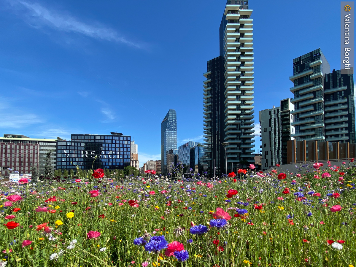 Piazza Gae Aulenti, Milano