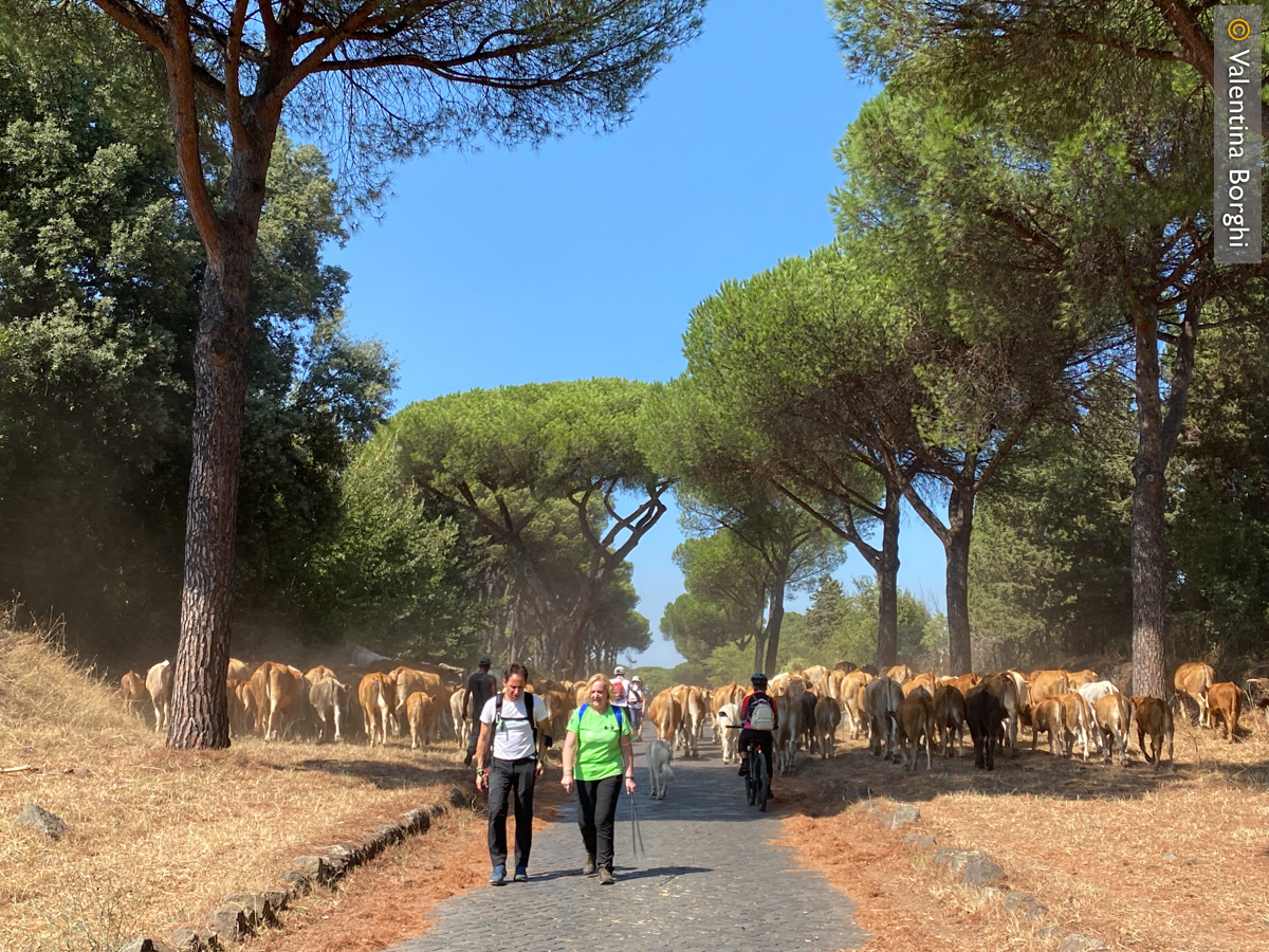 Appia Antica, Roma