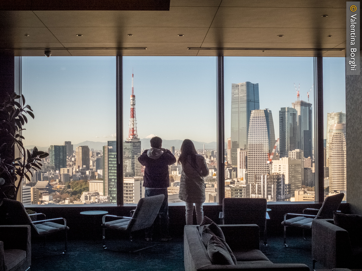 vista dal Park Hotel Tokyo