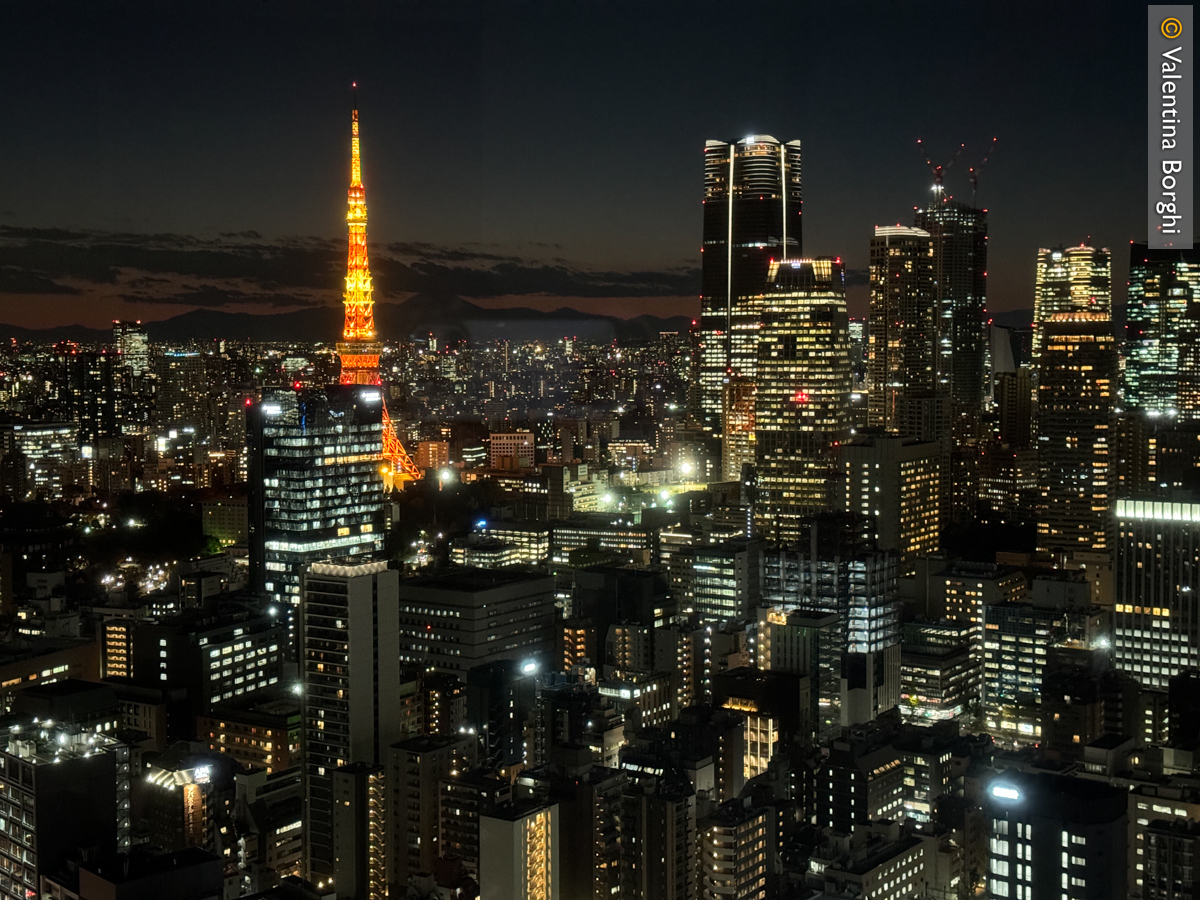 vista notturna di Tokyo