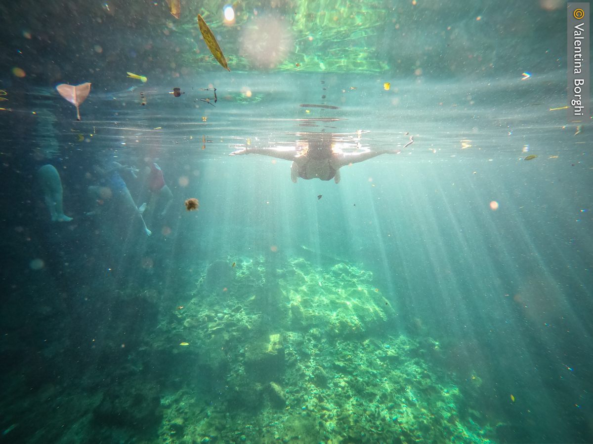 cenote in Yucatan
