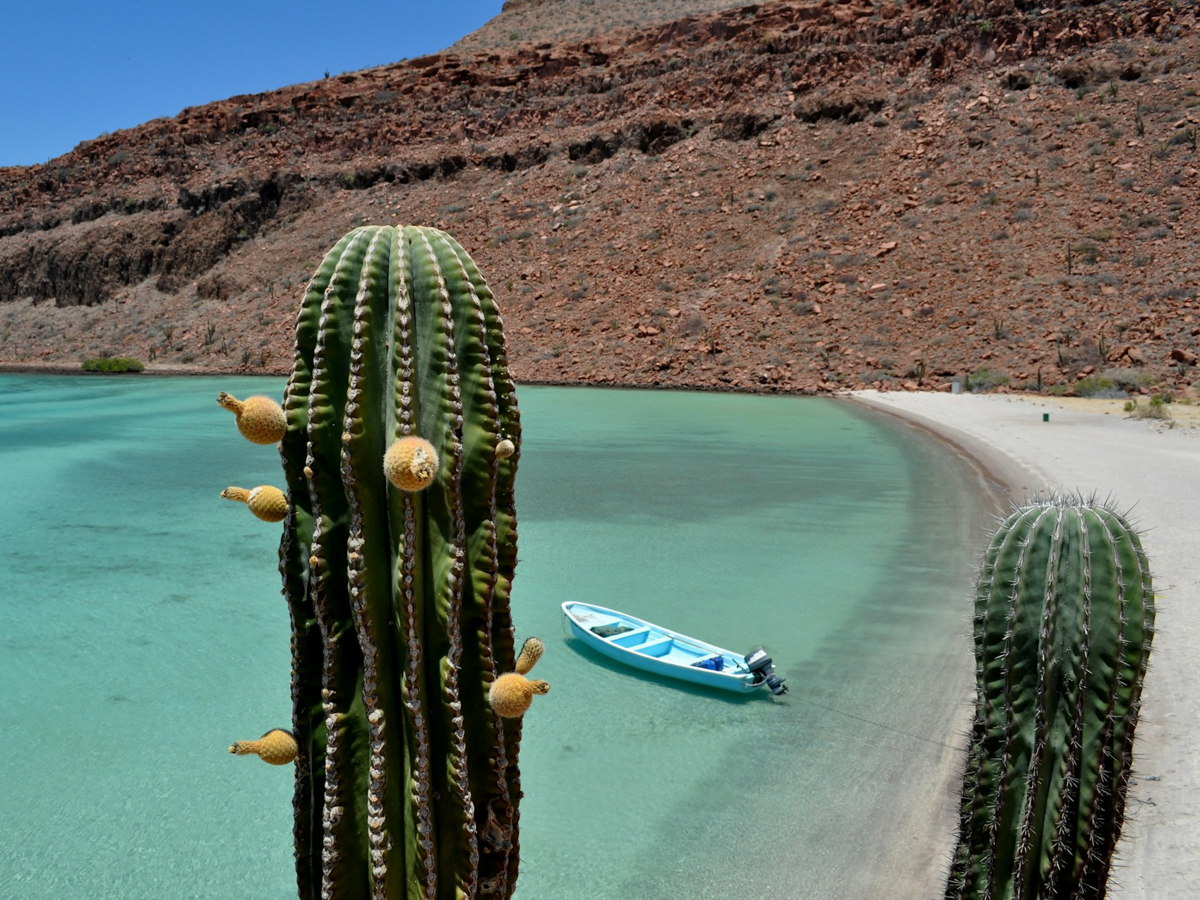spiaggia Baja California, Messico