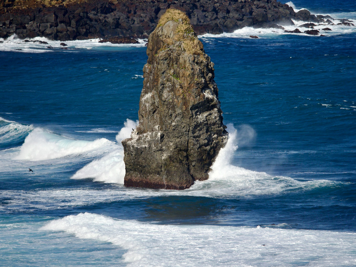 isola di Ōshima